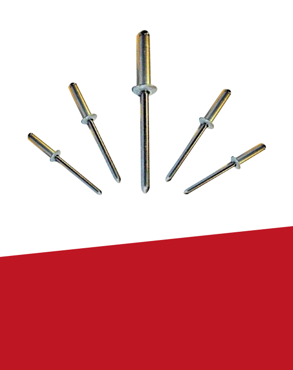 A2 Stainless Standard Rivets